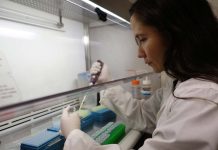 Proyecto STEM Género cierra 2025 con equipamientos adjudicados y en funcionamiento en ULagos