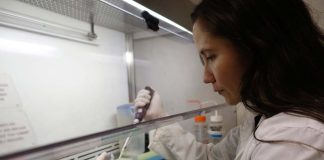 Proyecto STEM Género cierra 2025 con equipamientos adjudicados y en funcionamiento en ULagos