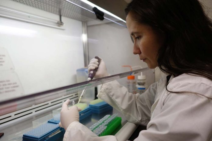 Proyecto STEM Género cierra 2025 con equipamientos adjudicados y en funcionamiento en ULagos