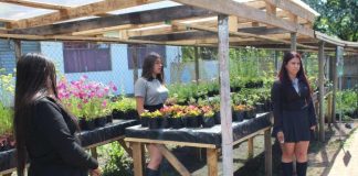 Proyectos Tecnológicos y agricultura sostenible. Liceo Agrícola El Vergel de Angol