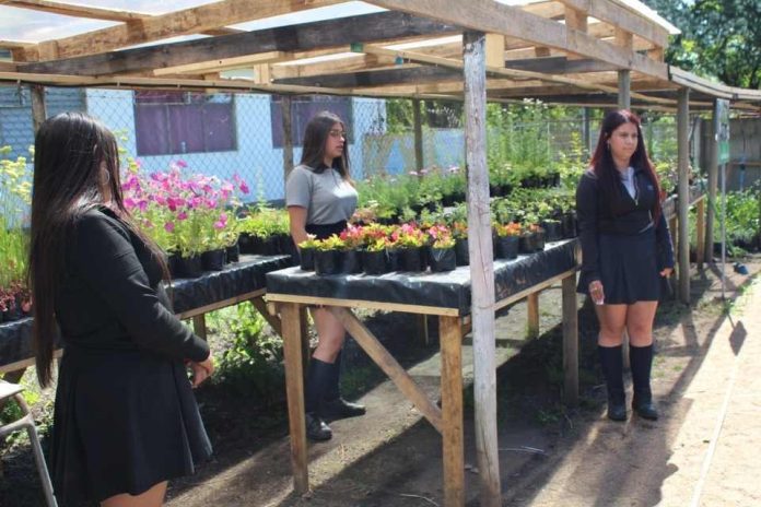 Proyectos Tecnológicos y agricultura sostenible. Liceo Agrícola El Vergel de Angol