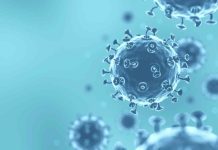 Tras cierre de colegios en Reino Unido: ¿Qué se sabe de la Supergripe H3N2 y por qué genera tanta preocupación?