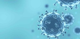 Tras cierre de colegios en Reino Unido: ¿Qué se sabe de la Supergripe H3N2 y por qué genera tanta preocupación?