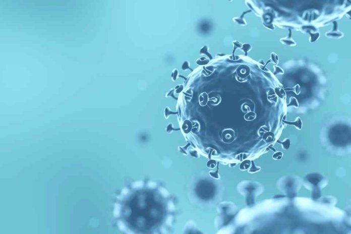 Tras cierre de colegios en Reino Unido: ¿Qué se sabe de la Supergripe H3N2 y por qué genera tanta preocupación? Tras cierre de colegios en Reino Unido: ¿Qué se sabe de la Supergripe H3N2 y por qué genera tanta preocupación?