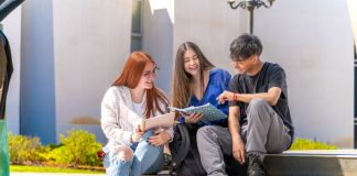 UTalca amplía oferta de minors para sus estudiantes