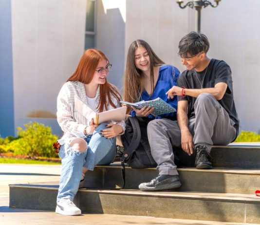 UTalca amplía oferta de minors para sus estudiantes