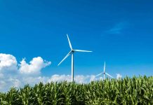 ¿Qué estudiar en 2026? el balance entre las profesiones emergentes y las que van a la baja ¿Qué estudiar en 2026? el balance entre las profesiones emergentes y las que van a la baja