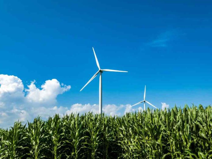 ¿Qué estudiar en 2026? el balance entre las profesiones emergentes y las que van a la baja