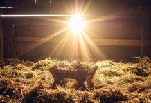 ¿Qué se conmemora en Nochebuena y por qué sigue siendo una fecha clave en 2025?