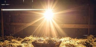 ¿Qué se conmemora en Nochebuena y por qué sigue siendo una fecha clave en 2025?