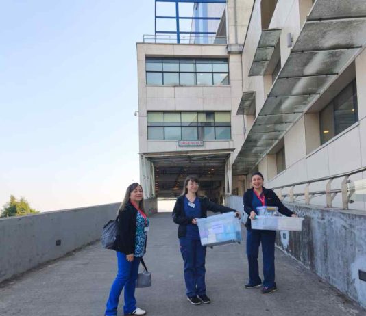 COANIQUEM despliega equipos de emergencia ante incendios forestales en el sur del país