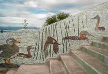 Cuando la pared se vuelve paisaje: inauguran mural en mosaico sobre la flora y fauna del Mallolafken en Villarrica Cuando la pared se vuelve paisaje: inauguran mural en mosaico sobre la flora y fauna del Mallolafken en Villarrica