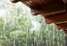 “Después del fuego viene el riesgo”: experta UCSC alerta por suelos vulnerables ante lluvias “Después del fuego viene el riesgo”: experta UCSC alerta por suelos vulnerables ante lluvias