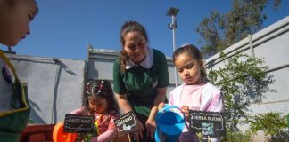Día de la Educación Ambiental: A fortalecer el respeto y cuidado por la naturaleza desde los primeros años