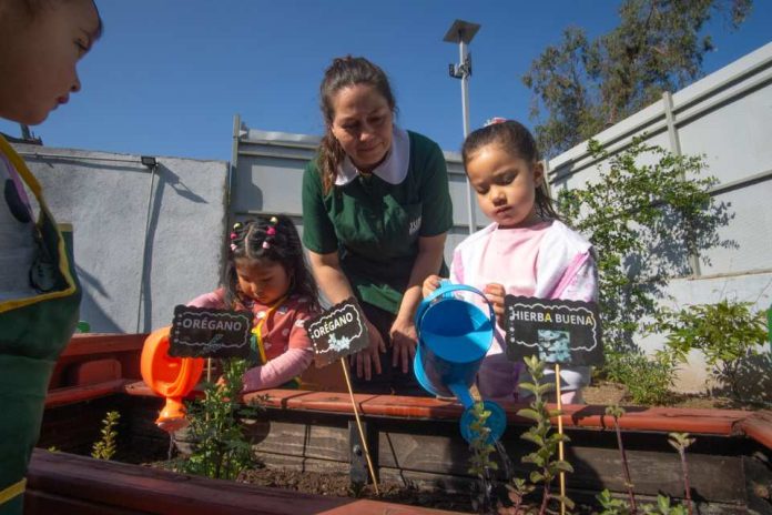 Día de la Educación Ambiental A fortalecer el respeto y cuidado por la naturaleza desde los primeros años Día de la Educación Ambiental: A fortalecer el respeto y cuidado por la naturaleza desde los primeros años