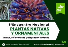 1° Encuentro Nacional de Plantas Nativas y Ornamentales: Oportunidad de Negocio y Posicionamiento para las marcas líderes del sector 1° Encuentro Nacional de Plantas Nativas y Ornamentales: Oportunidad de Negocio y Posicionamiento para las marcas líderes del sector