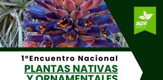 1° Encuentro Nacional de Plantas Nativas y Ornamentales: Oportunidad de Negocio y Posicionamiento para las  marcas líderes del sector