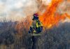 Incendios forestales: cuando el fuego también amenaza lo que comemos