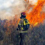 Incendios forestales: cuando el fuego también amenaza lo que comemos