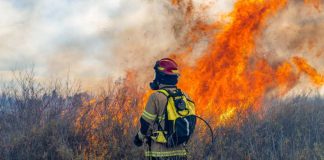 Incendios forestales: cuando el fuego también amenaza lo que comemos