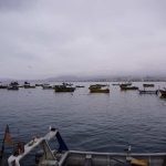 Instituto Milenio SECOS abre llamado a concurso postdoctoral en turismo, desarrollo costero y economía ambiental