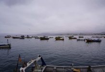 Instituto Milenio SECOS abre llamado a concurso postdoctoral en turismo, desarrollo costero y economía ambiental