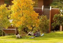 Instituto de Ciencias de la Familia y fin del SENAME: “Aún no se puede saber si las reformas han significado mejoras en la protección de los niños, niñas y adolescentes más vulnerables”