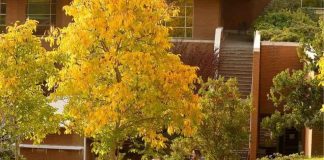 Instituto de Ciencias de la Familia y fin del SENAME: “Aún no se puede saber si las reformas han significado mejoras en la protección de los niños, niñas y adolescentes más vulnerables”