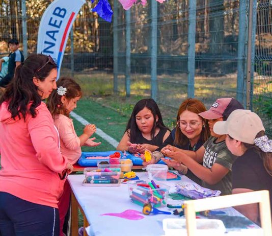 Junaeb activa Escuelas de Emergencia en zonas afectadas por incendios en Biobío