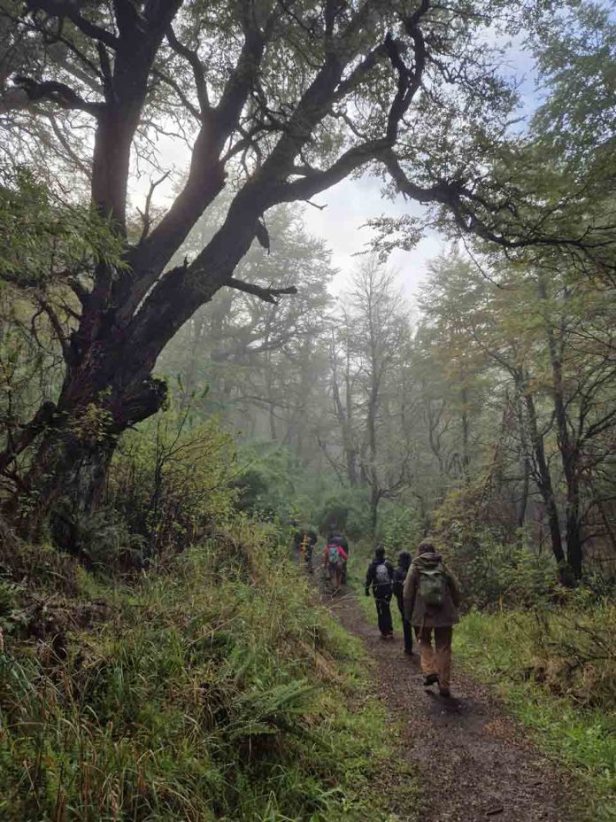 Más de 100 estudiantes de Coyhaique exploraron la naturaleza patagónica a través de la poesía de Gabriela Mistral