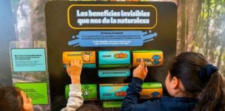 Ministerio de Ciencia adjudicó más de $1.550 millones en sus Concursos Nacionales Ciencia Pública