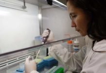 Proyecto STEM Género cierra 2025 con equipamientos adjudicados y en funcionamiento en ULagos