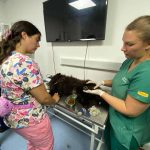 UDLA brinda atención veterinaria a mascotas afectadas por incendios forestales y habilita centros de acopio