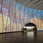 De lo microbiano a lo planetario: proyección en el MUT invita a reflexionar sobre la colaboración como fuerza vital