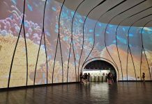 De lo microbiano a lo planetario: proyección en el MUT invita a reflexionar sobre la colaboración como fuerza vital