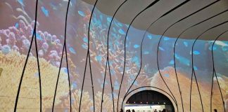 De lo microbiano a lo planetario: proyección en el MUT invita a reflexionar sobre la colaboración como fuerza vital