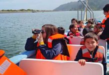 EDUCACIÓN AMBIENTAL: 447 ESTUDIANTES DEL MAULE SE FORMARON EN BIODIVERSIDAD, BOSQUES Y PREVENCIÓN DE INCENDIOS