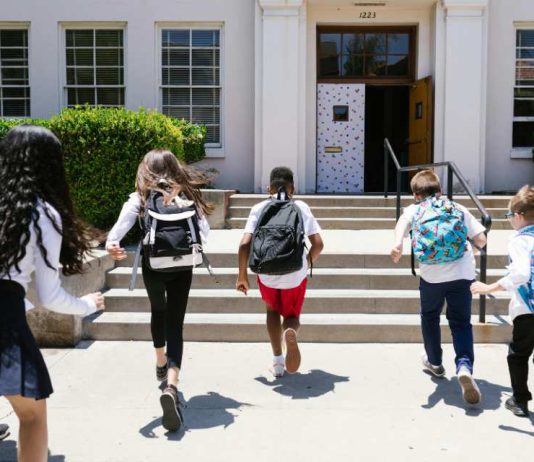El infaltable de la lista escolar que no puede faltar durante el regreso a clases