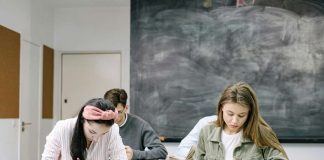 Expertos entregan claves para enfrentar el primer año de universidad Expertos entregan claves para enfrentar el primer año de universidad