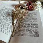 Historias de amor son uno de los regalos favoritos para el 14 de febrero Historias de amor son uno de los regalos favoritos para el 14 de febrero