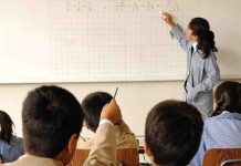 Se publica la Ley 21.803 sobre Titularidad Docente