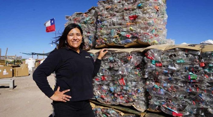 Redimir: El impacto del reciclaje en el norte del país Redimir: El impacto del reciclaje en el norte del país