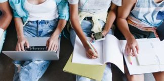 ¿Cuáles son los plazos de entrega de información para el cumplimiento de la Ley 21.091