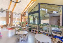 Antes de las pantallas: el desafío de proteger el desarrollo infantil en los primeros años