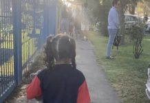 Ansiedad por regreso a clases: Experta entrega herramientas para acompañar a niñas y niños en la experiencia escolar 