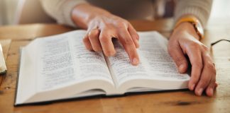 UCN invita a participar en curso para conocer en detalle la Biblia