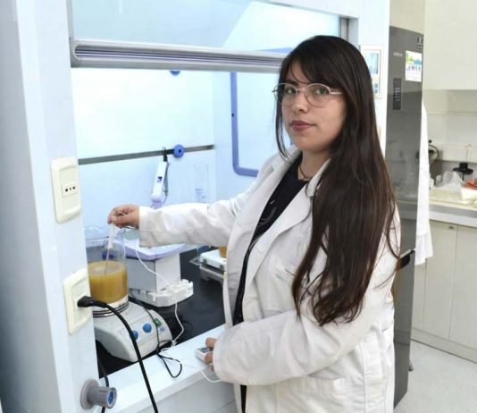 Egresados de Química Ambiental UCSC obtienen beca ANID de Doctorado