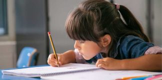 Especialista entregó consejos para formar hábitos de estudio desde la infancia