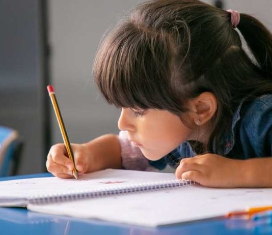 Especialista entregó consejos para formar hábitos de estudio desde la infancia