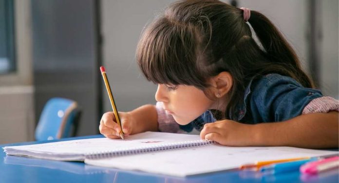 Especialista entregó consejos para formar hábitos de estudio desde la infancia